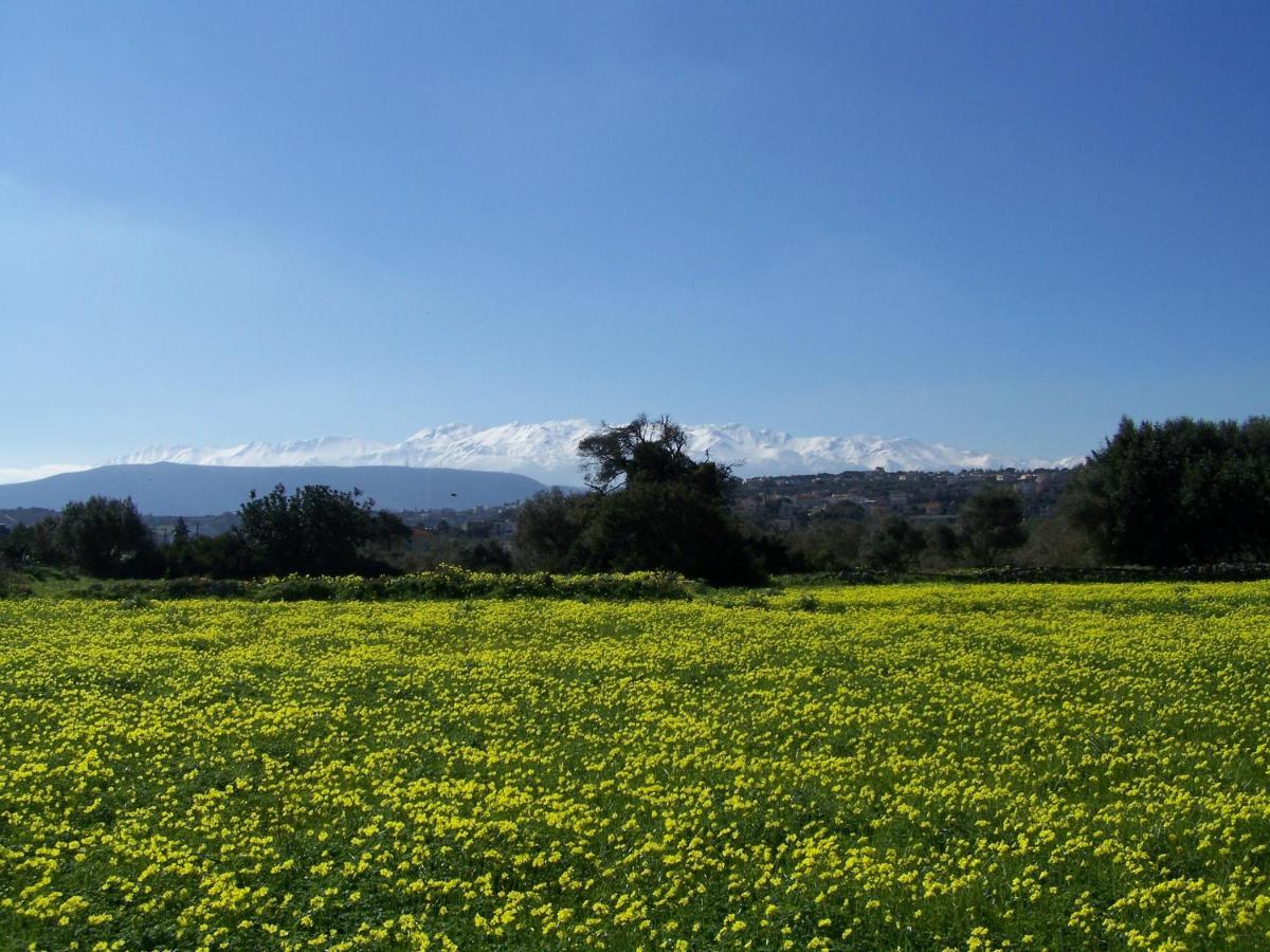Manolo S Olive Farm, Apartment With Seaview Chania  Exterior photo