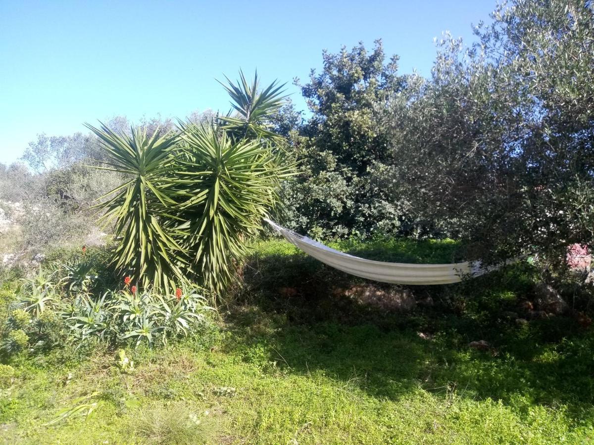 Manolo S Olive Farm, Apartment With Seaview Chania  Exterior photo