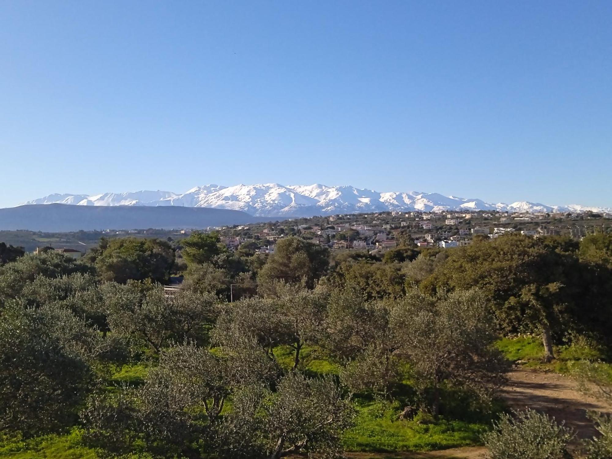 Manolo S Olive Farm, Apartment With Seaview Chania  Exterior photo